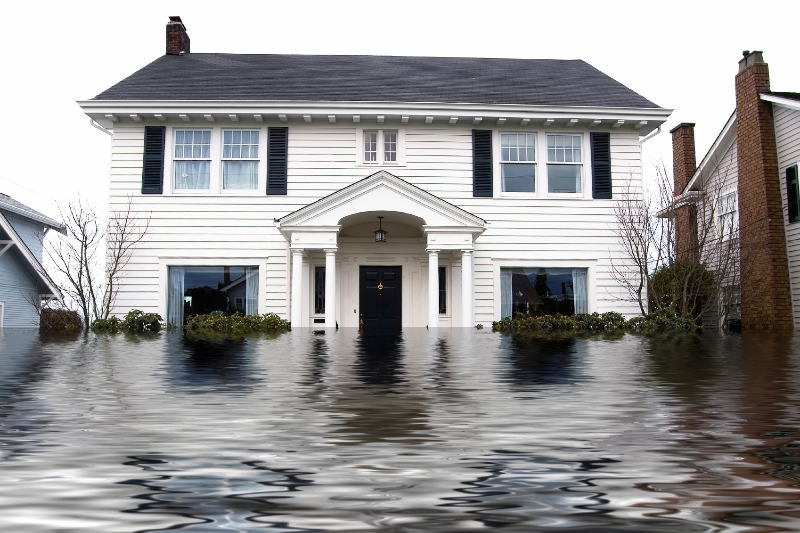floodedwhitehouse